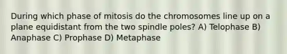 During which phase of mitosis do the chromosomes line up on a plane equidistant from the two spindle poles? A) Telophase B) Anaphase C) Prophase D) Metaphase