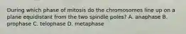 During which phase of mitosis do the chromosomes line up on a plane equidistant from the two spindle poles? A. anaphase B. prophase C. telophase D. metaphase