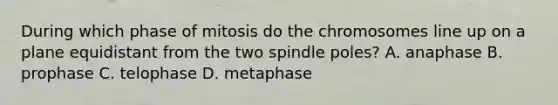 During which phase of mitosis do the chromosomes line up on a plane equidistant from the two spindle poles? A. anaphase B. prophase C. telophase D. metaphase