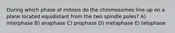 During which phase of mitosis do the chromosomes line up on a plane located equidistant from the two spindle poles? A) interphase B) anaphase C) prophase D) metaphase E) telophase