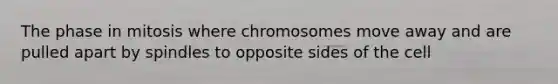 The phase in mitosis where chromosomes move away and are pulled apart by spindles to opposite sides of the cell