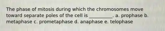 The phase of mitosis during which the chromosomes move toward separate poles of the cell is __________. a. prophase b. metaphase c. prometaphase d. anaphase e. telophase