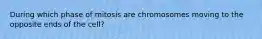 During which phase of mitosis are chromosomes moving to the opposite ends of the cell?