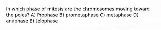 In which phase of mitosis are the chromosomes moving toward the poles? A) Prophase B) prometaphase C) metaphase D) anaphase E) telophase