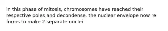 in this phase of mitosis, chromosomes have reached their respective poles and decondense. the nuclear envelope now re-forms to make 2 separate nuclei