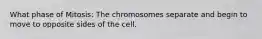 What phase of Mitosis: The chromosomes separate and begin to move to opposite sides of the cell.