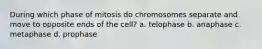 During which phase of mitosis do chromosomes separate and move to opposite ends of the cell? a. telophase b. anaphase c. metaphase d. prophase