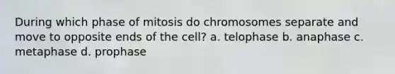 During which phase of mitosis do chromosomes separate and move to opposite ends of the cell? a. telophase b. anaphase c. metaphase d. prophase