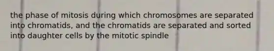 the phase of mitosis during which chromosomes are separated into chromatids, and the chromatids are separated and sorted into daughter cells by the mitotic spindle