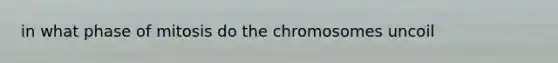 in what phase of mitosis do the chromosomes uncoil