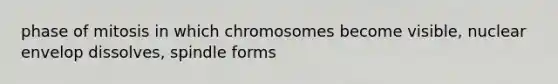 phase of mitosis in which chromosomes become visible, nuclear envelop dissolves, spindle forms