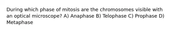 During which phase of mitosis are the chromosomes visible with an optical microscope? A) Anaphase B) Telophase C) Prophase D) Metaphase