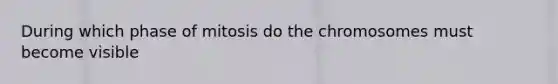 During which phase of mitosis do the chromosomes must become visible