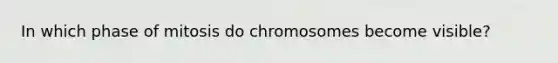 In which phase of mitosis do chromosomes become visible?