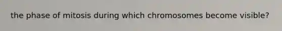 the phase of mitosis during which chromosomes become visible?