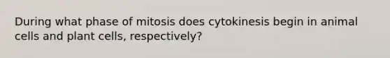 During what phase of mitosis does cytokinesis begin in animal cells and plant cells, respectively?