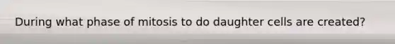 During what phase of mitosis to do daughter cells are created?