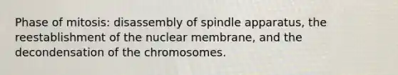 Phase of mitosis: disassembly of spindle apparatus, the reestablishment of the nuclear membrane, and the decondensation of the chromosomes.