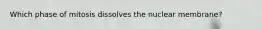 Which phase of mitosis dissolves the nuclear membrane?
