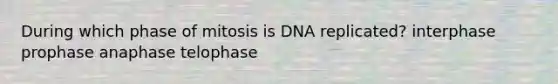 During which phase of mitosis is DNA replicated? interphase prophase anaphase telophase