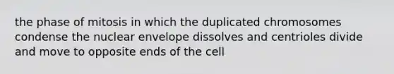 the phase of mitosis in which the duplicated chromosomes condense the nuclear envelope dissolves and centrioles divide and move to opposite ends of the cell