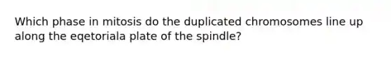 Which phase in mitosis do the duplicated chromosomes line up along the eqetoriala plate of the spindle?