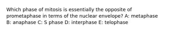 Which phase of mitosis is essentially the opposite of prometaphase in terms of the nuclear envelope? A: metaphase B: anaphase C: S phase D: interphase E: telophase