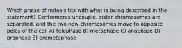 Which phase of mitosis fits with what is being described in the statement? Centromeres uncouple, sister chromosomes are separated, and the two new chromosomes move to opposite poles of the cell A) telophase B) metaphase C) anaphase D) prophase E) prometaphase