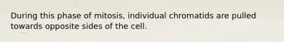 During this phase of mitosis, individual chromatids are pulled towards opposite sides of the cell.