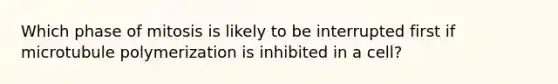 Which phase of mitosis is likely to be interrupted first if microtubule polymerization is inhibited in a cell?