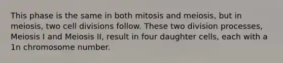 This phase is the same in both mitosis and meiosis, but in meiosis, two cell divisions follow. These two division processes, Meiosis I and Meiosis II, result in four daughter cells, each with a 1n chromosome number.