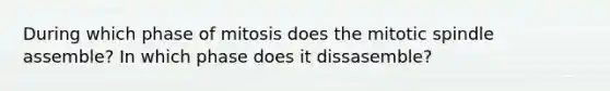 During which phase of mitosis does the mitotic spindle assemble? In which phase does it dissasemble?