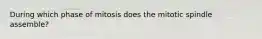 During which phase of mitosis does the mitotic spindle assemble?
