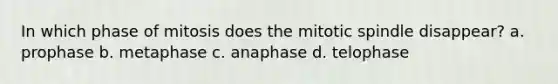 In which phase of mitosis does the mitotic spindle disappear? a. prophase b. metaphase c. anaphase d. telophase