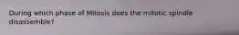 During which phase of Mitosis does the mitotic spindle disassemble?