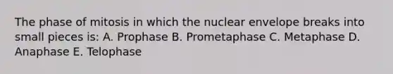 The phase of mitosis in which the nuclear envelope breaks into small pieces is: A. Prophase B. Prometaphase C. Metaphase D. Anaphase E. Telophase