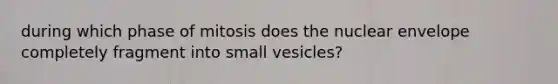 during which phase of mitosis does the nuclear envelope completely fragment into small vesicles?