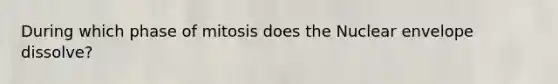 During which phase of mitosis does the Nuclear envelope dissolve?