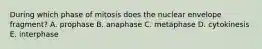 During which phase of mitosis does the nuclear envelope fragment? A. prophase B. anaphase C. metaphase D. cytokinesis E. interphase