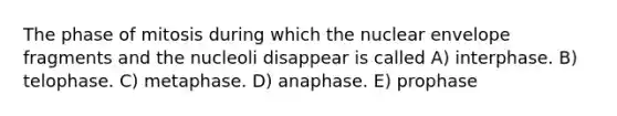 The phase of mitosis during which the nuclear envelope fragments and the nucleoli disappear is called A) interphase. B) telophase. C) metaphase. D) anaphase. E) prophase