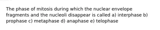 The phase of mitosis during which the nuclear envelope fragments and the nucleoli disappear is called a) interphase b) prophase c) metaphase d) anaphase e) telophase