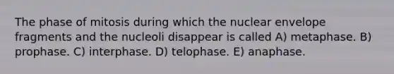 The phase of mitosis during which the nuclear envelope fragments and the nucleoli disappear is called A) metaphase. B) prophase. C) interphase. D) telophase. E) anaphase.