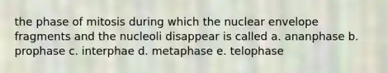 the phase of mitosis during which the nuclear envelope fragments and the nucleoli disappear is called a. ananphase b. prophase c. interphae d. metaphase e. telophase