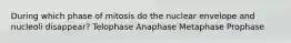 During which phase of mitosis do the nuclear envelope and nucleoli disappear? Telophase Anaphase Metaphase Prophase