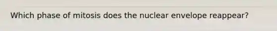 Which phase of mitosis does the nuclear envelope reappear?