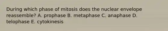 During which phase of mitosis does the nuclear envelope reassemble? A. prophase B. metaphase C. anaphase D. telophase E. cytokinesis