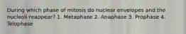 During which phase of mitosis do nuclear envelopes and the nucleoli reappear? 1. Metaphase 2. Anaphase 3. Prophase 4. Telophase