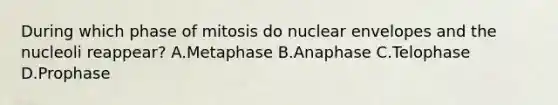 During which phase of mitosis do nuclear envelopes and the nucleoli reappear? A.Metaphase B.Anaphase C.Telophase D.Prophase