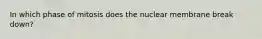 In which phase of mitosis does the nuclear membrane break down?