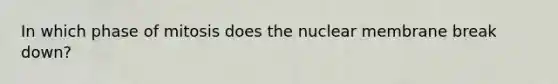 In which phase of mitosis does the nuclear membrane break down?